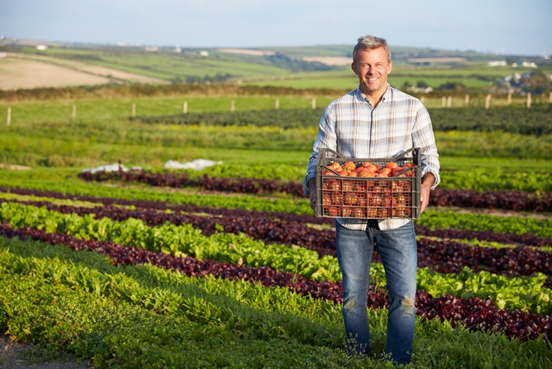 Harvest season is one example of a good time to find temporary labour.